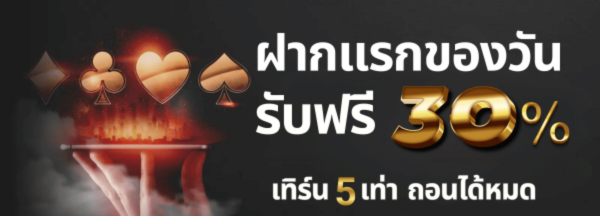 โบนัส30%
